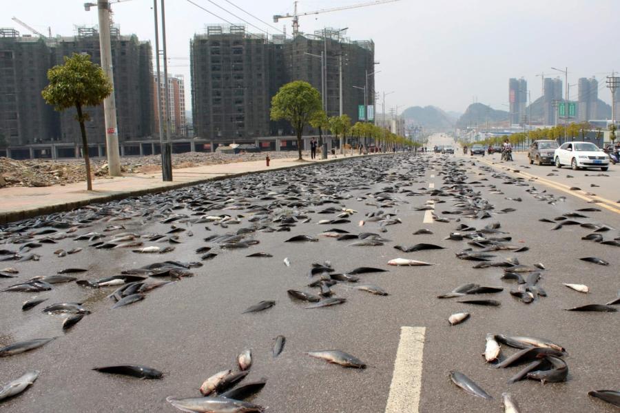 Самые необычные осадки