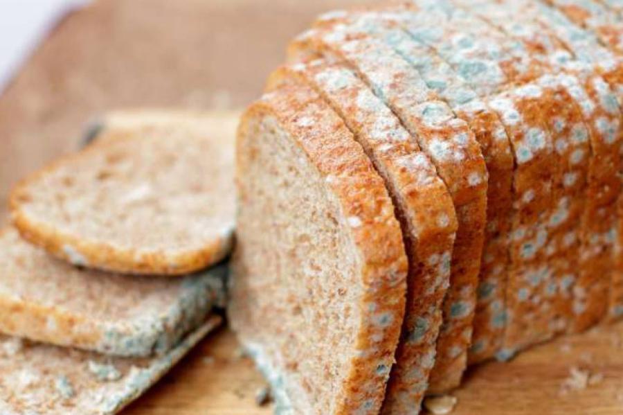 Что будет с телом, если съесть продукт с плесенью