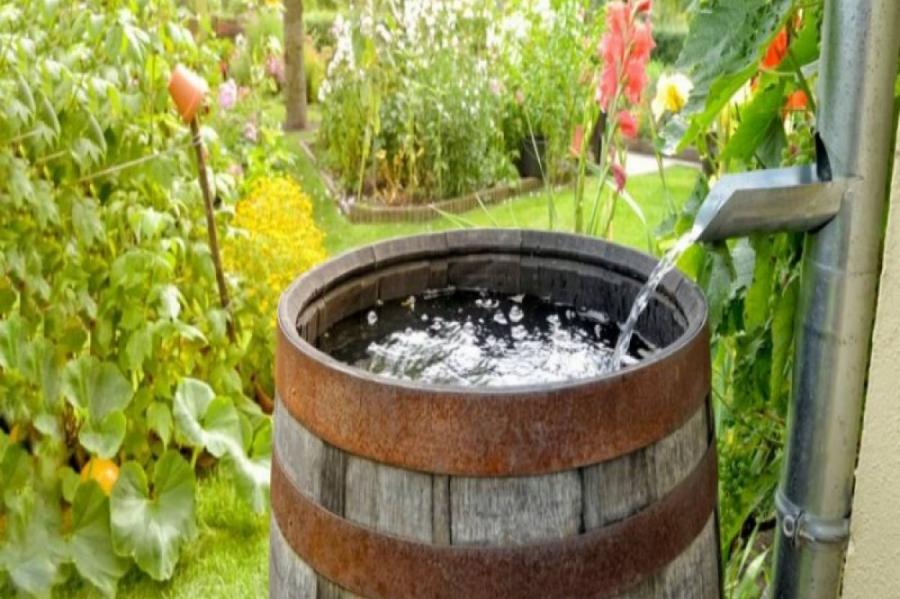 Как можно использовать дождевую воду