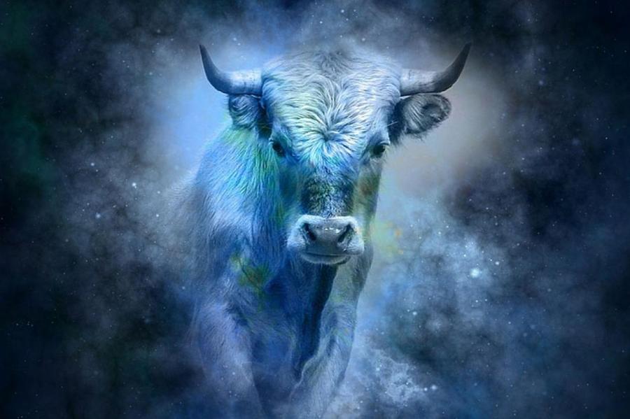Гороскоп на 2021 год: кого ждет финансовое благополучие в год Быка