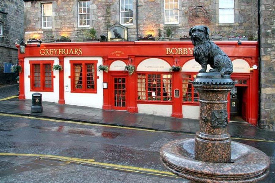 Верный пёс Бобби