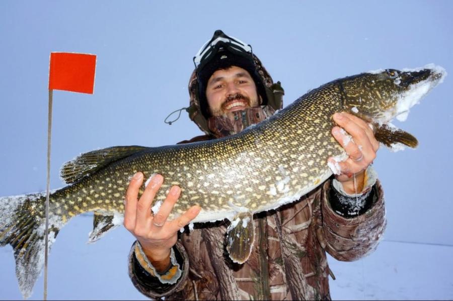 Здесь рыба есть: зимняя рыбалка в корягах