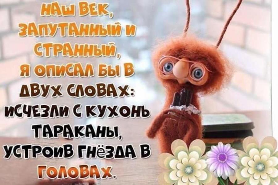 Анекдоты дня, 24 марта