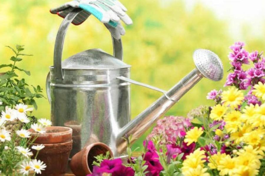 Лунный календарь садовода-огородника на май