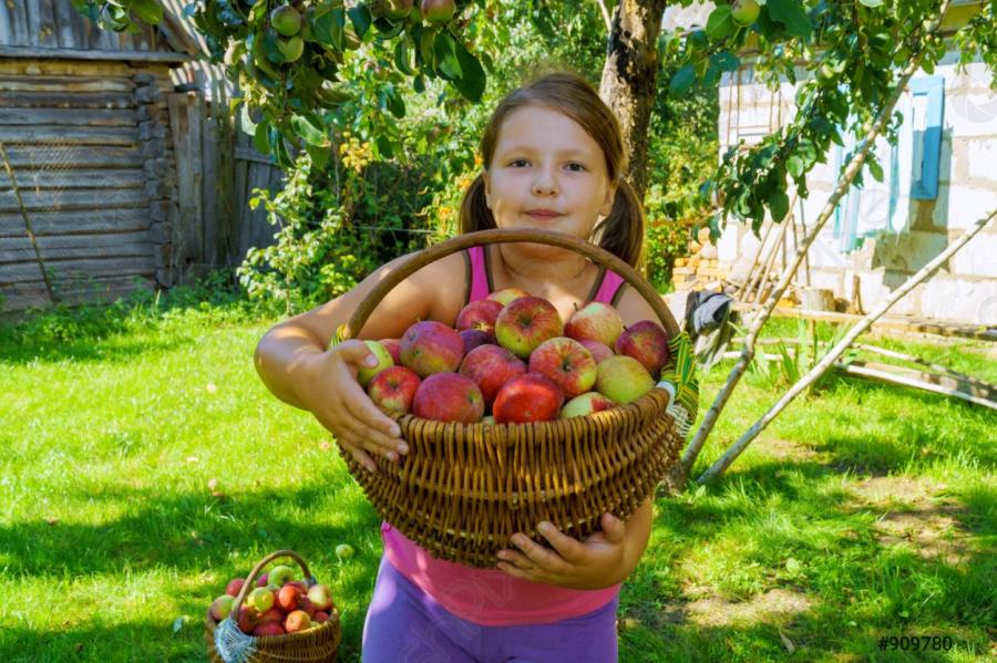 Опасные продукты для аллергиков