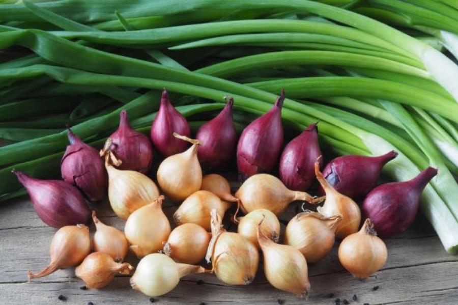 Чем полезен зеленый лук и как его применять на кухне