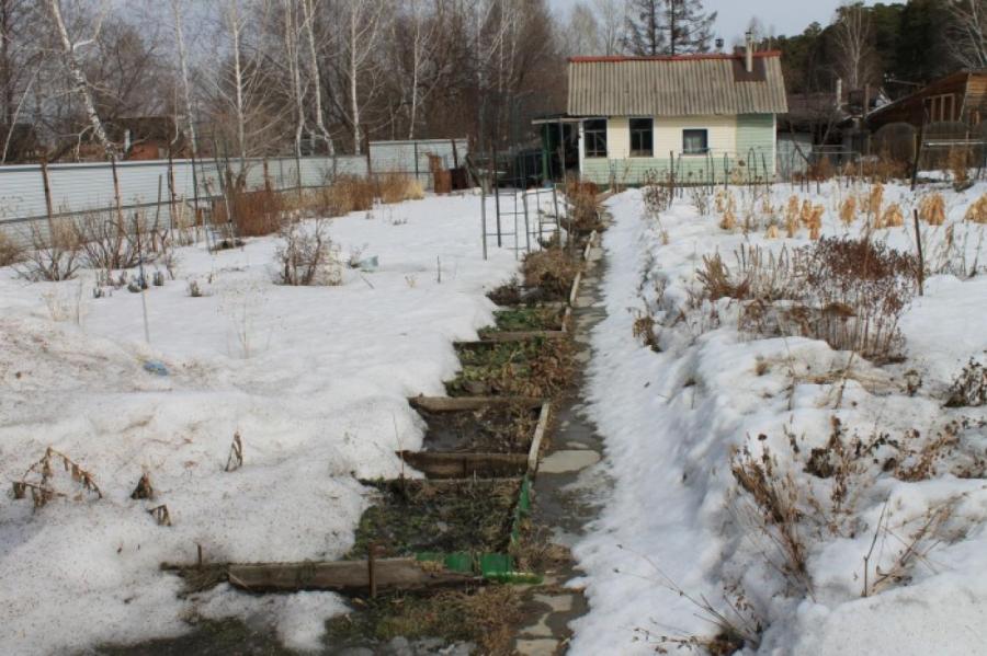 Лунный календарь огородника с 6 по 12 декабря