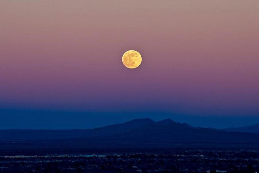 Лунный календарь садовода и огородника на 2022 год и народные приметы