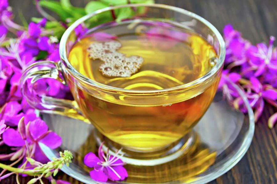 Учёные нашли высокоэффективный антиоксидант в иван-чае