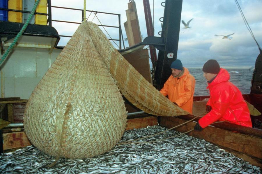 Накануне продовольственного кризиса: Латвия будет кормиться из прибрежных вод