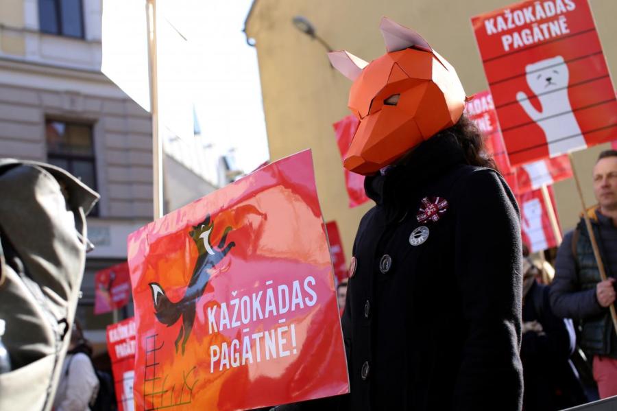 Господа, вы не звери! Нравы латвийцев смягчились до отмены пушного бизнеса