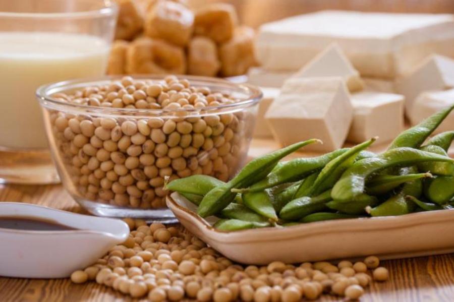 Вредна ли соя для женщин и может ли она вызвать рак?