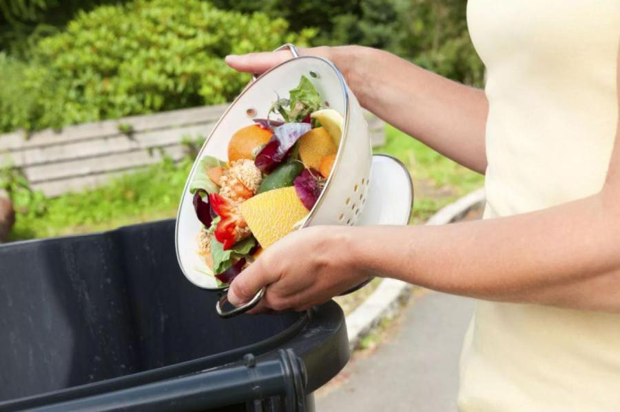 Сколько латвийская семья сэкономит, не выбрасывая продукты - исследование