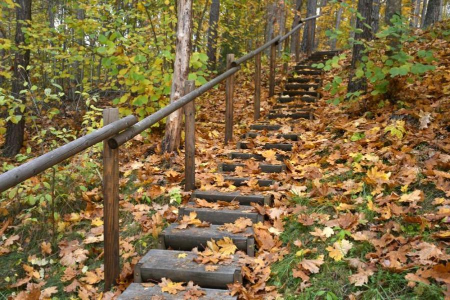 Начало ноября в Латвии было на четыре градуса теплее нормы