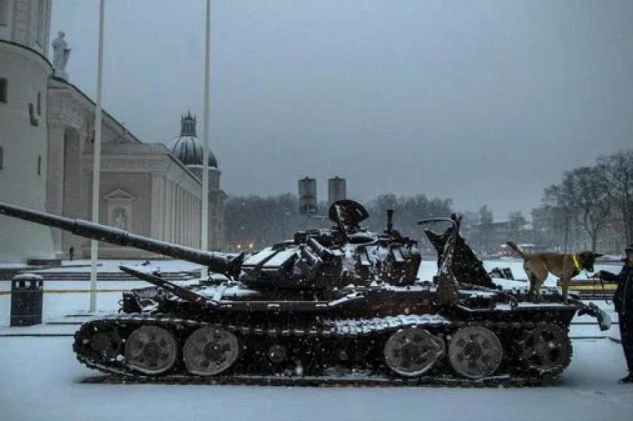 В Литве призвали к уголовной ответственности за возложение цветов к танкам