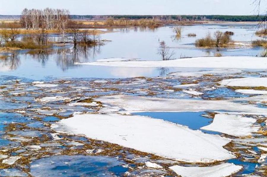 В связи с повышением уровня воды в Даугаве объявлено оранжевое предупреждение