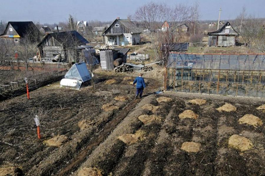 Страсти вокруг огородов: Рижская дума закручивает гайки