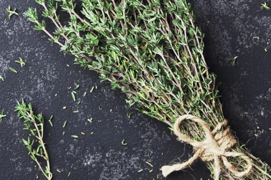 Чем полезен чабрец, и может ли он навредить