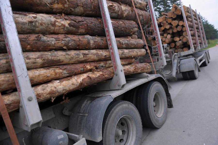 Полиция намерена бороться с перегруженными лесовозами