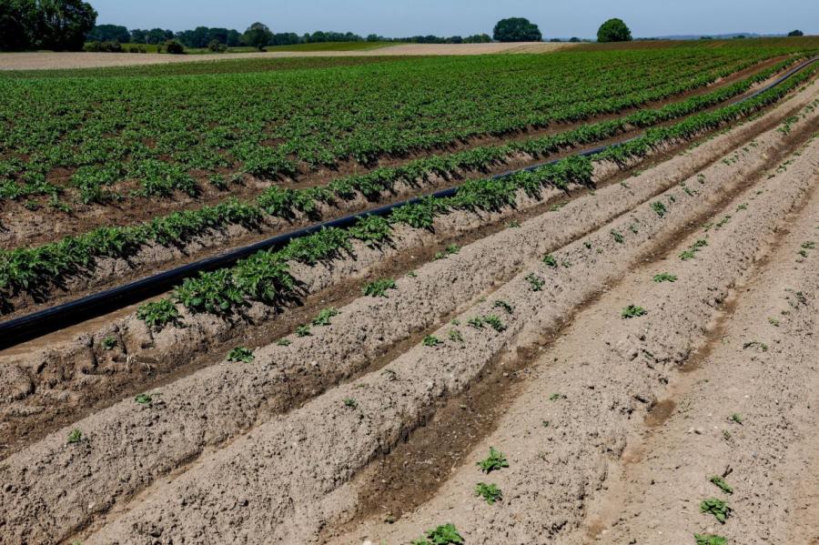 Ситуация в сельском хозяйстве тяжелая