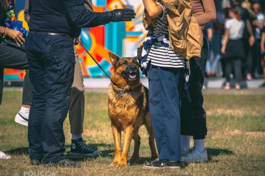 Первый день фестиваля Positivus прошел без существенных происшествий