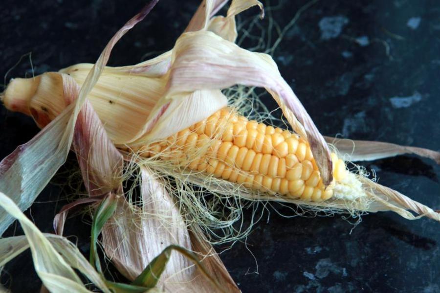 В каких продуктах питания содержатся драгоценные металлы