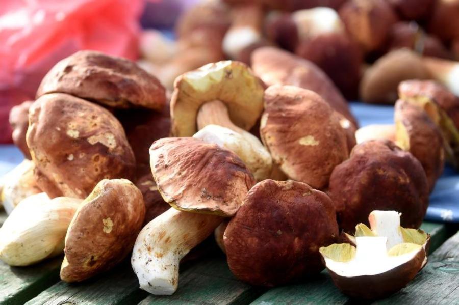 Нужно ли мыть грибы перед жаркой и засолкой?