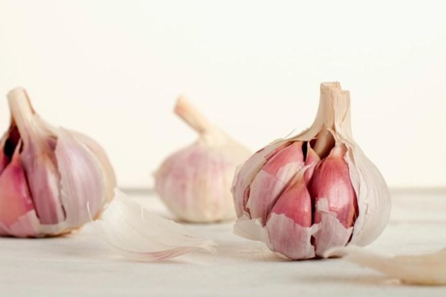 Почему нас раздражает запах чеснока, но не его вкус