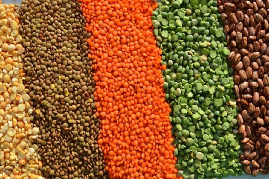 Терапевт назвала продукт, снижающий уровень сахара и вес