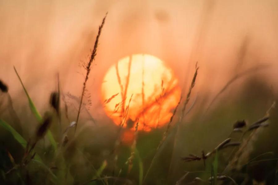 Обнаружены две планетные системы у звезд типа Солнца