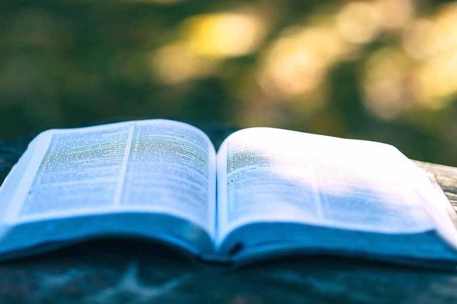 Пословицы и поговорки: как на самом деле звучат известные народные изречения