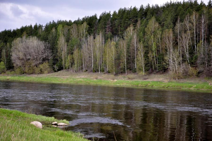 Уровень воды в Даугаве на следующей неделе повысится