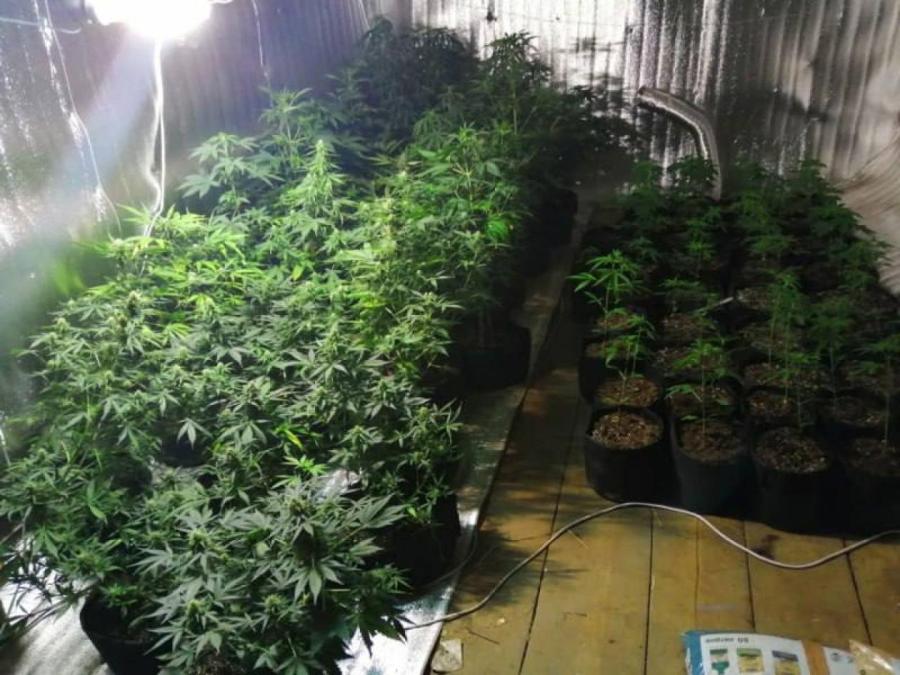 Делянка на дому. Делянка на дому.